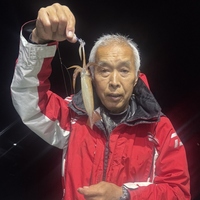 ムギイカ(スルメイカ)