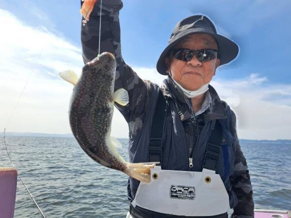 ショウサイフグ