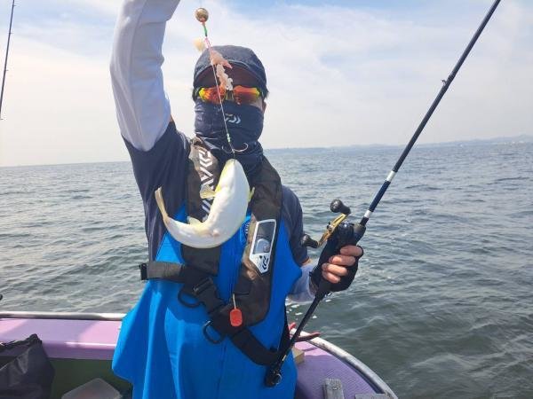 ショウサイフグ