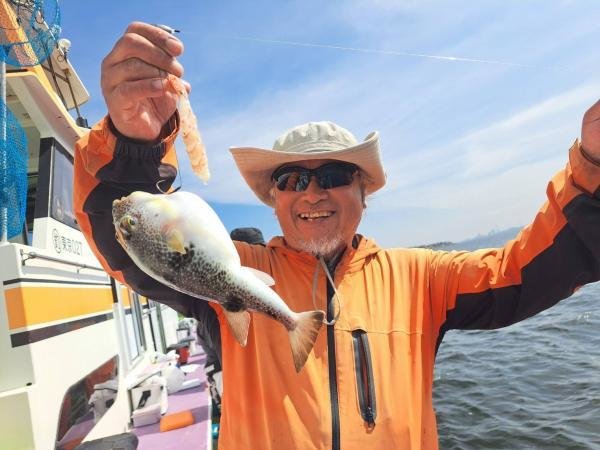 ショウサイフグ