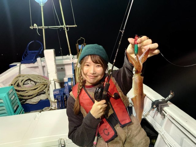 マイカ(ケンサキイカ)