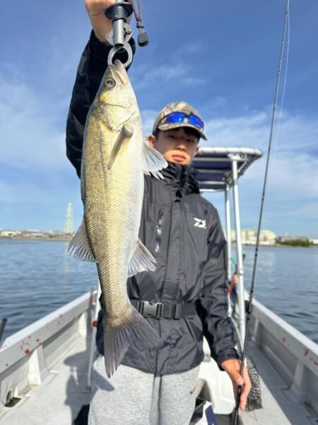 シーバス(スズキ)