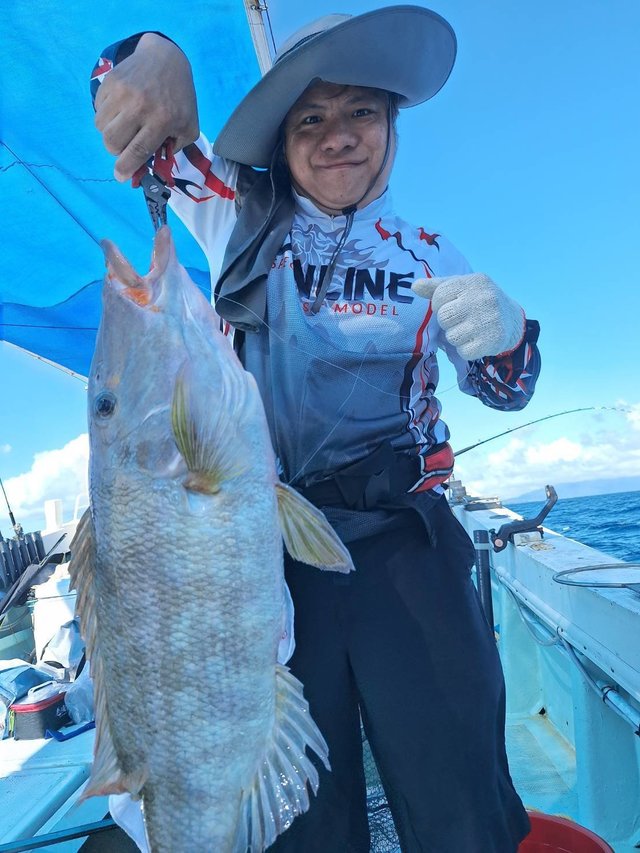 フエフキ(ハマフエフキ)