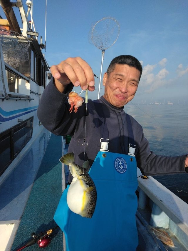 ショウサイフグ