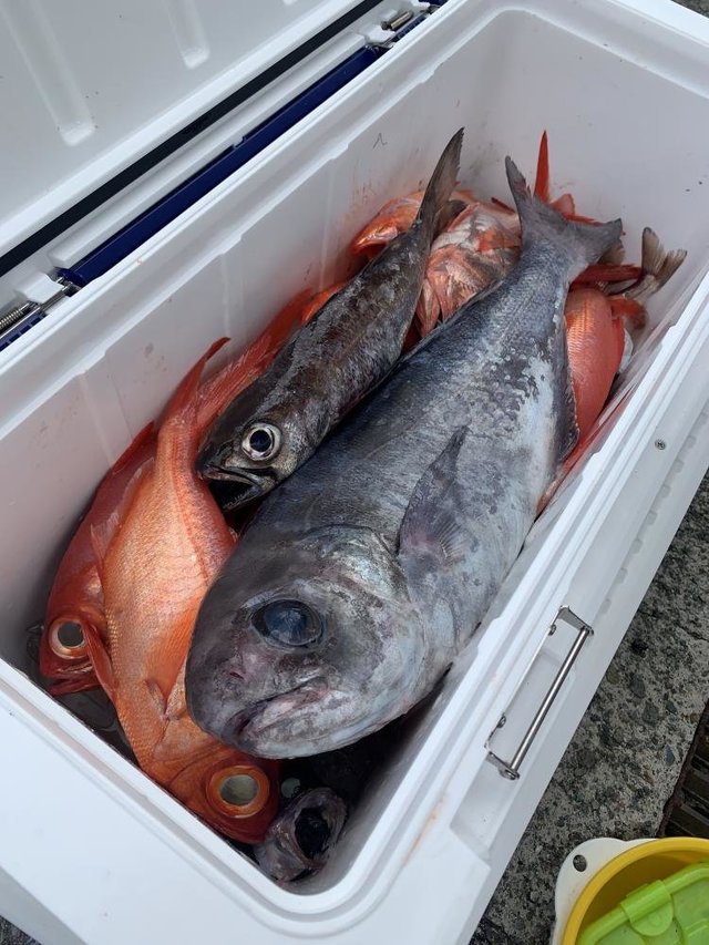 クロムツ・キンメ(キンメダイ)