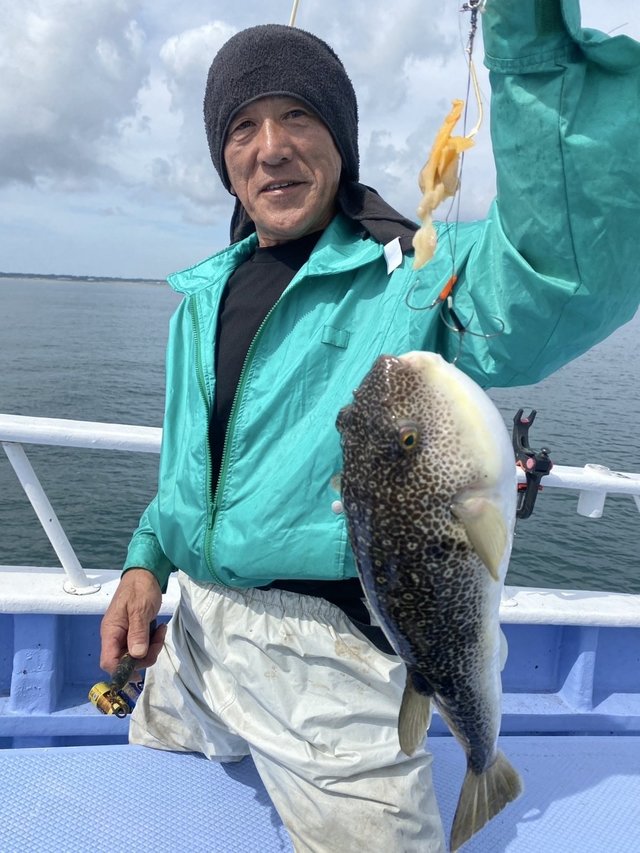 ショウサイフグ