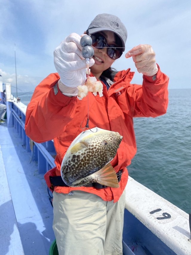 ショウサイフグ