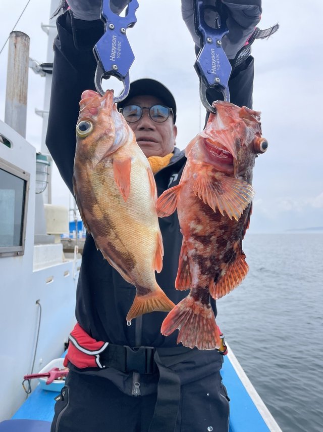 カサゴ・メバル