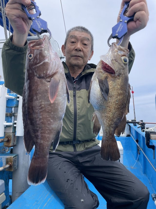 マハタ・メバル