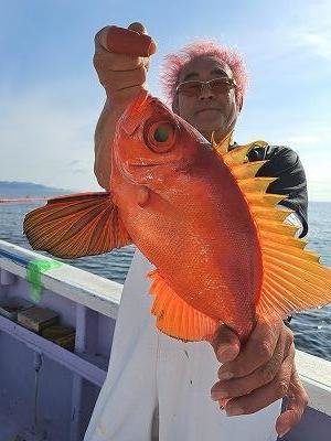 キントキ(チカメキントキ)