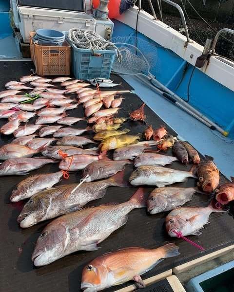 マダイ・マハタ・アオハタ・イトヨリ(イトヨリダイ)・アラカブ(カサゴ)・ウッカリカサゴ・カナガシラ・サバ(ゴマサバ)