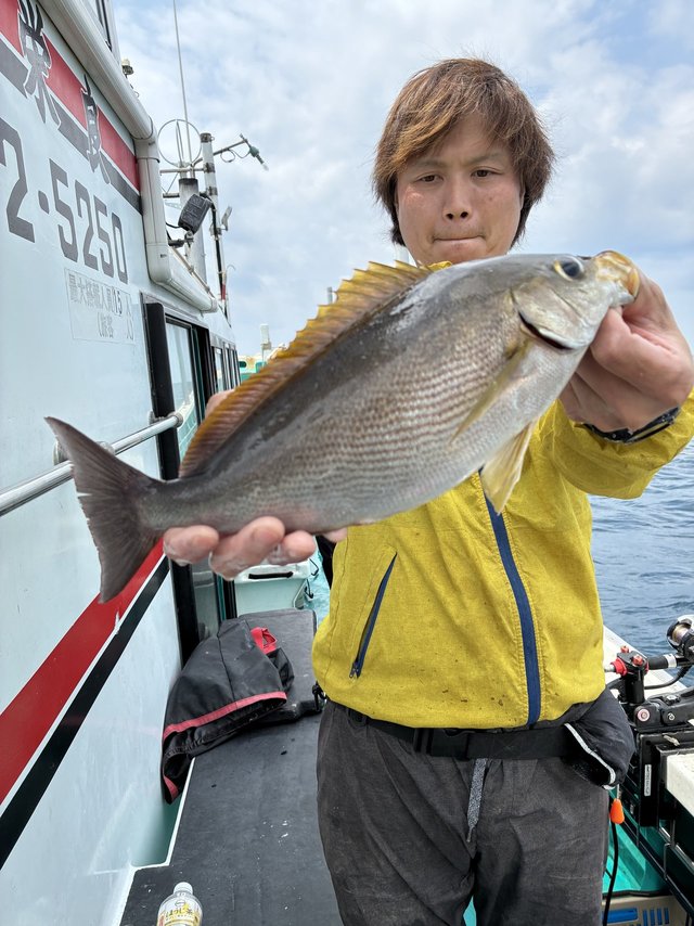 イサギ(イサキ)