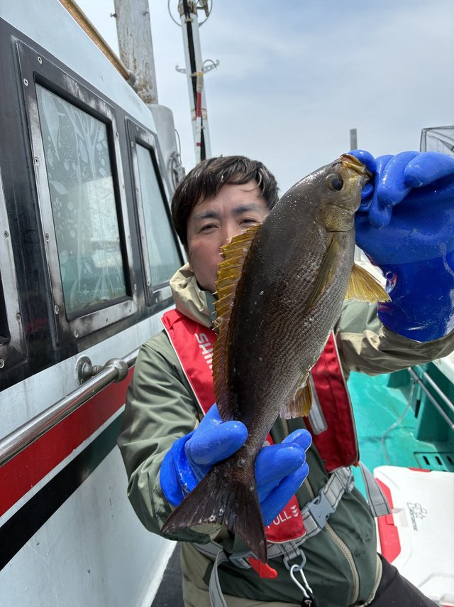 イサギ(イサキ)