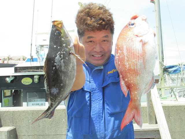 ハナダイ(チダイ)・イサキ