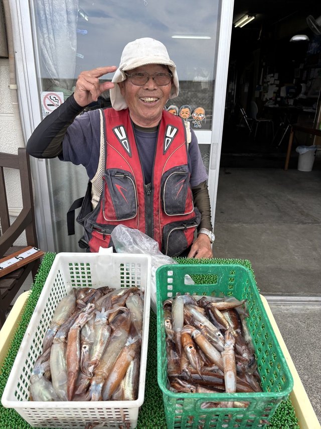 ムギイカ(スルメイカ)