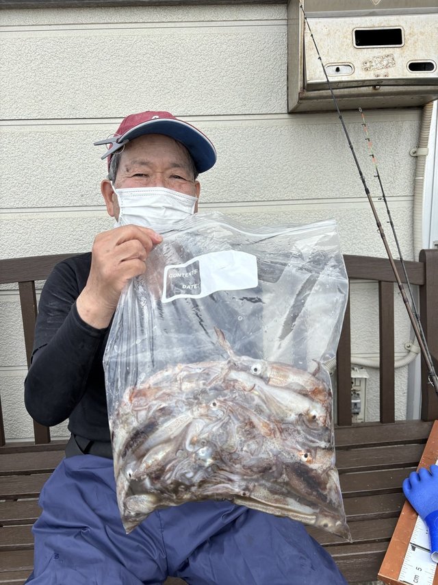 ムギイカ(スルメイカ)