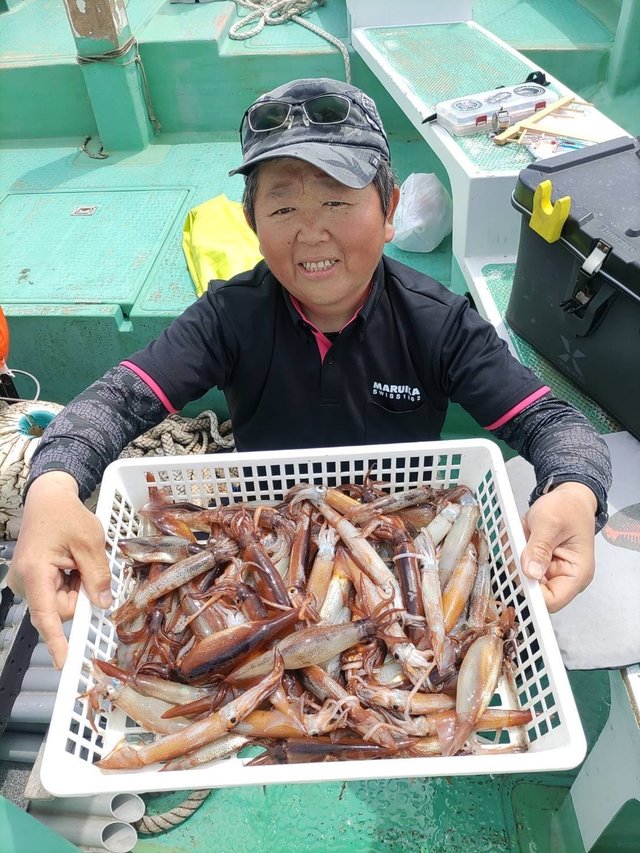 マルイカ(ケンサキイカ)