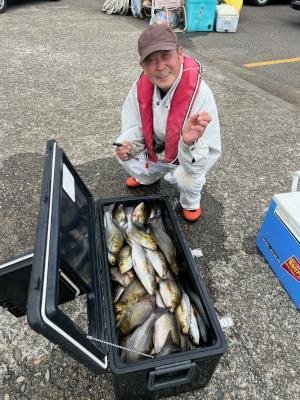 イサギ(イサキ)