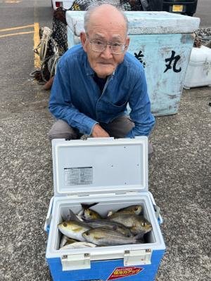 イサギ(イサキ)