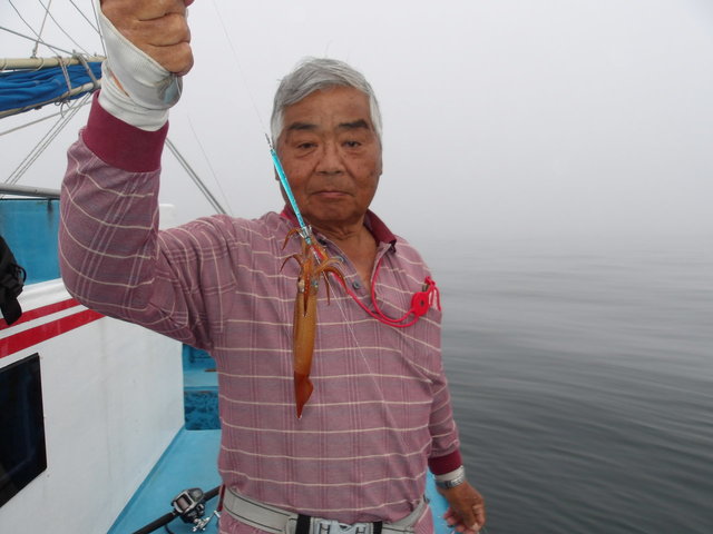 ムギイカ(スルメイカ)