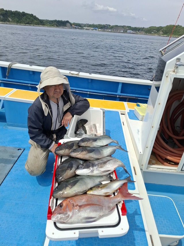 マダイ・クロダイ・メジナ