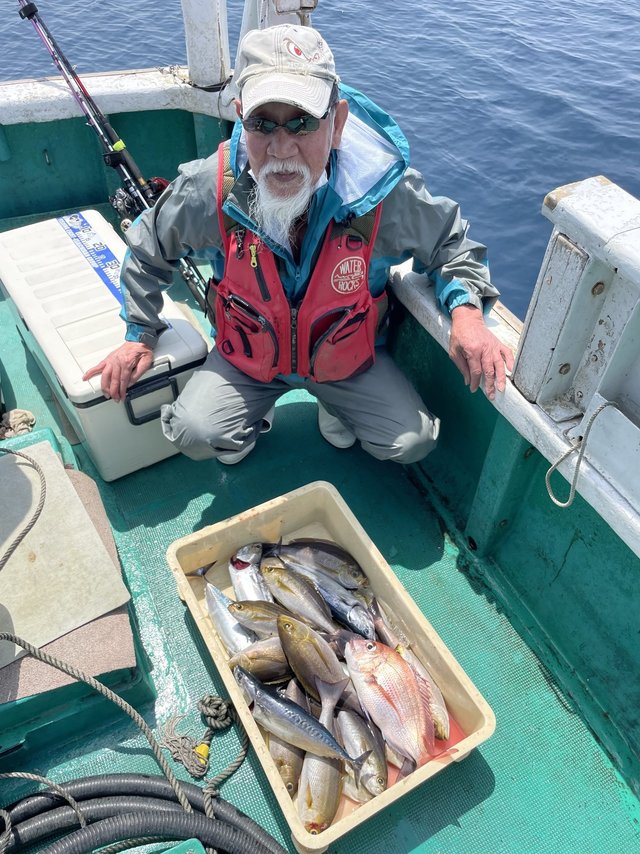 マダイ・イサギ(イサキ)・ソーダ(ヒラソウダ)