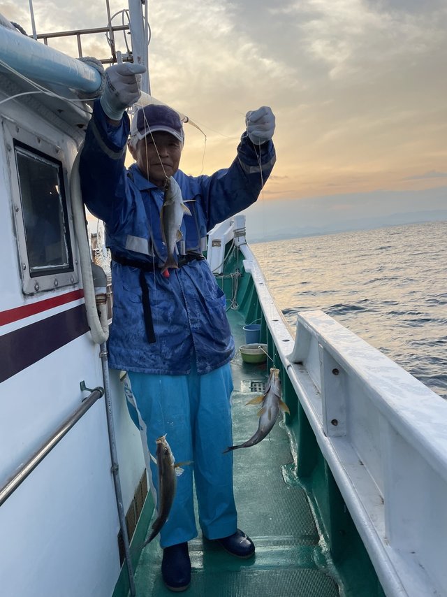 イサギ(イサキ)