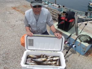 マアジ・イサキ