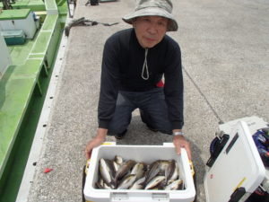 マアジ・イサキ