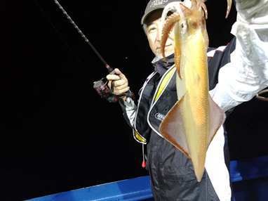 マイカ(ケンサキイカ)