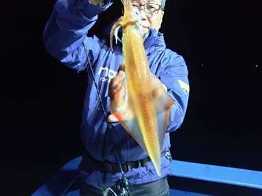 マイカ(ケンサキイカ)