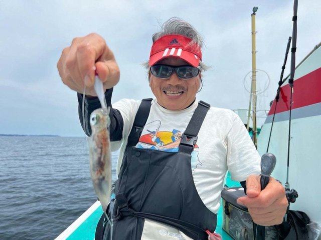 マルイカ(ケンサキイカ)