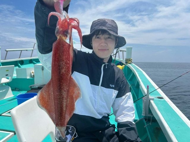 マルイカ(ケンサキイカ)