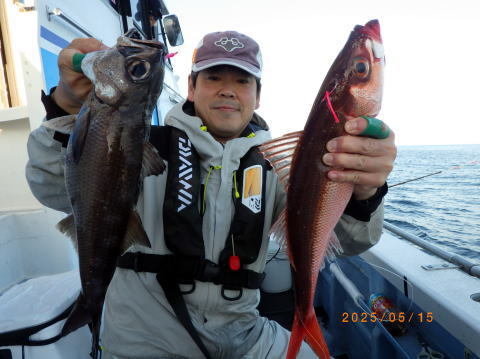 クロムツ・ハチビキ