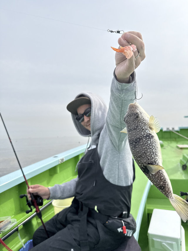 フグ(ショウサイフグ)