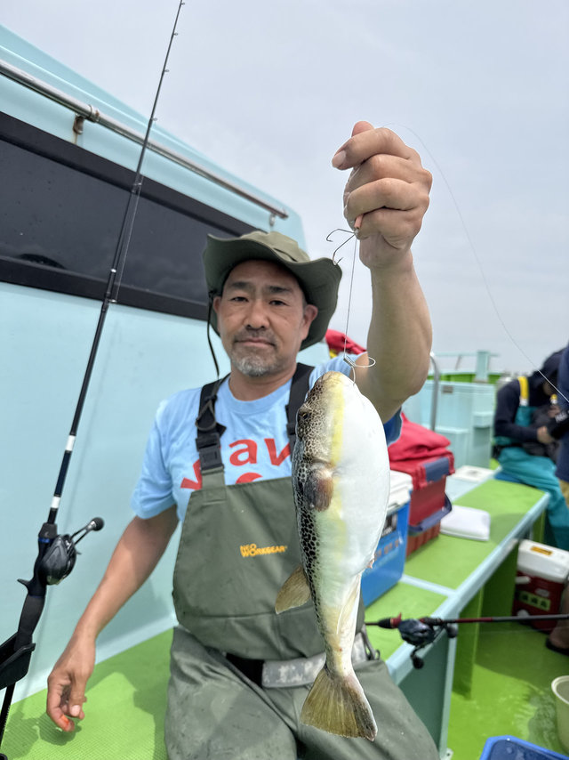 フグ(ショウサイフグ)