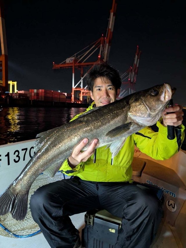 シーバス(スズキ)