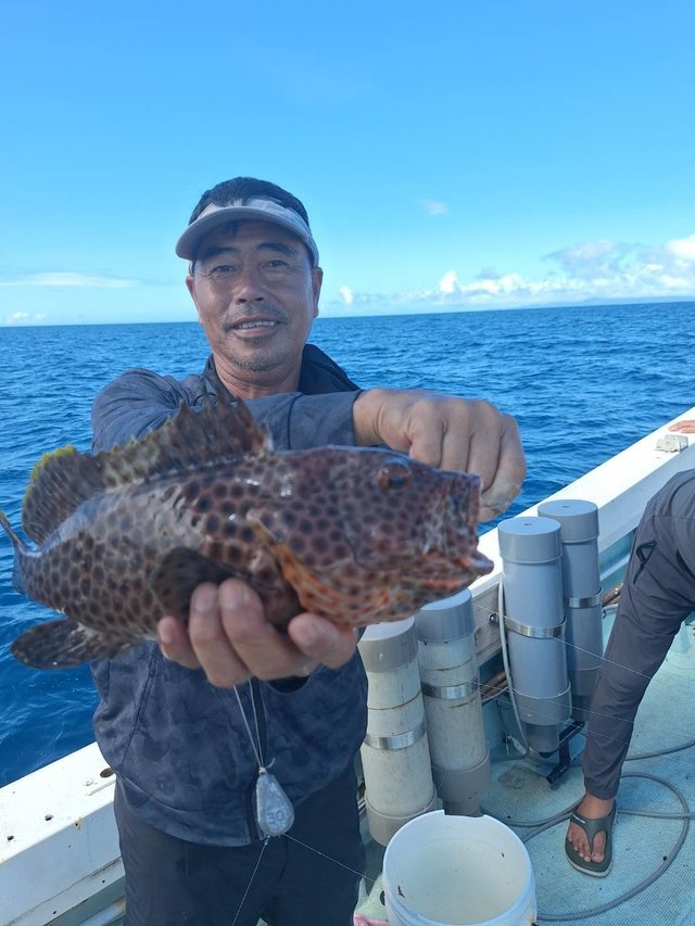 ミーバイ(クエ)