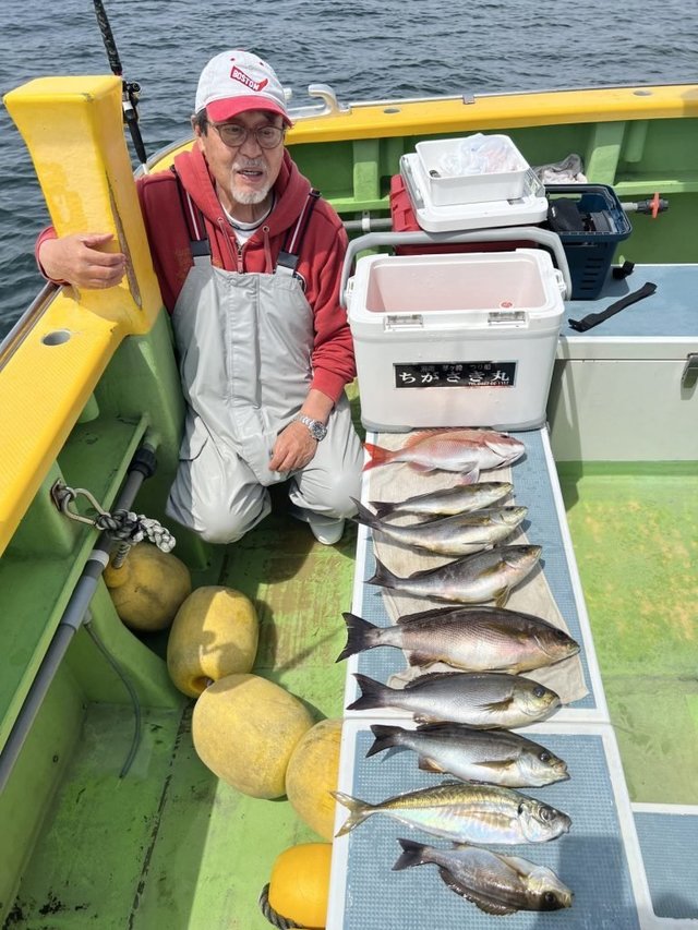 マダイ・アジ(マアジ)・イサキ