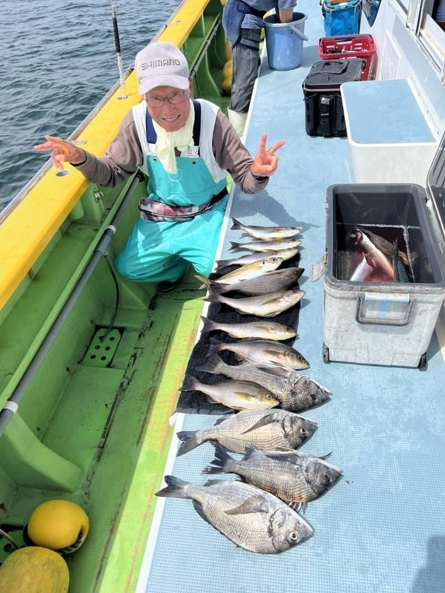 クロダイ・アジ(マアジ)・イサキ