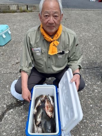 イサキ・メバル