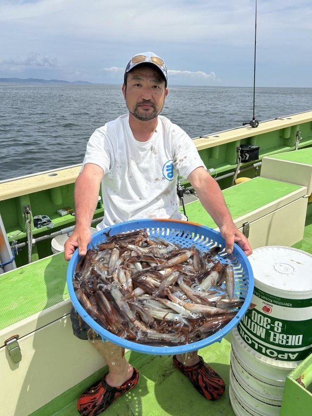 ムギイカ(スルメイカ)