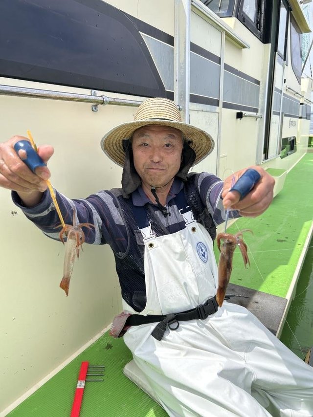 ムギイカ(スルメイカ)