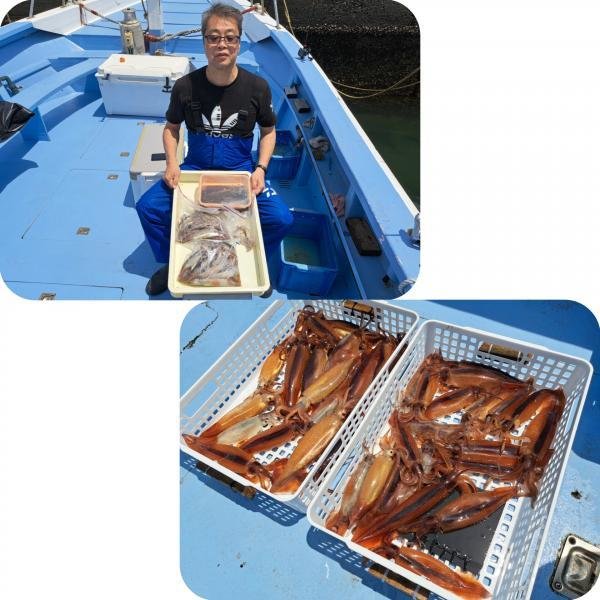 マルイカ(ケンサキイカ)・ムギイカ(スルメイカ)