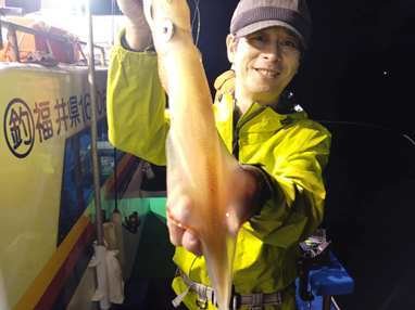 マイカ(ケンサキイカ)