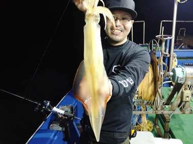 マイカ(ケンサキイカ)