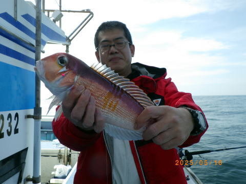 アマダイ(アカアマダイ)