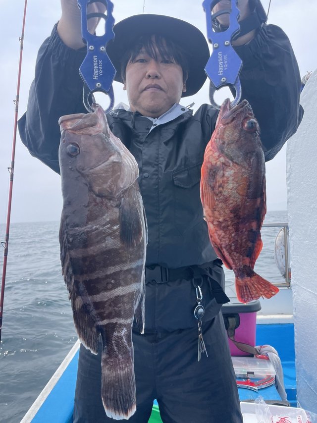 マハタ・カサゴ