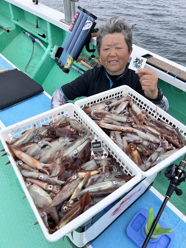 マルイカ(ケンサキイカ)