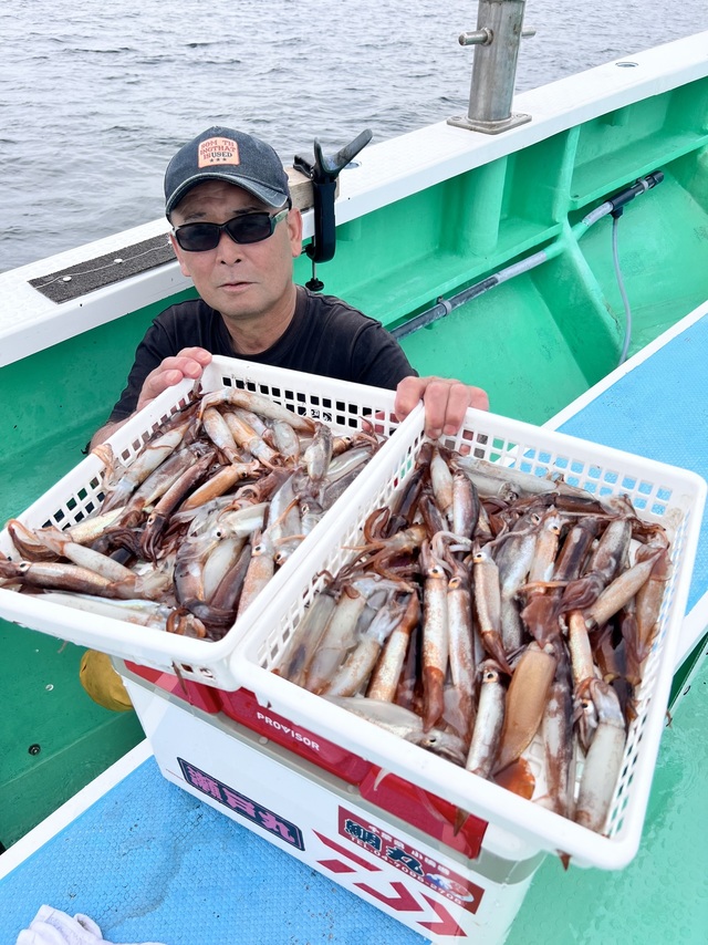 マルイカ(ケンサキイカ)